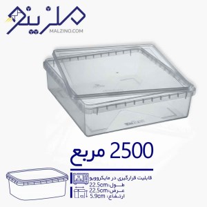 ظرف 2500 سی سی شیرینی و کوکی مربع 15عددی